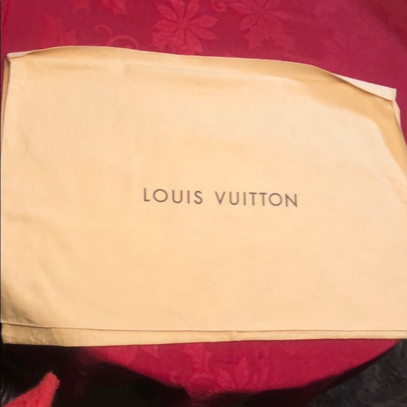 Louis Vuitton Other - SOLD LV Authentic Extra Large Dust bag